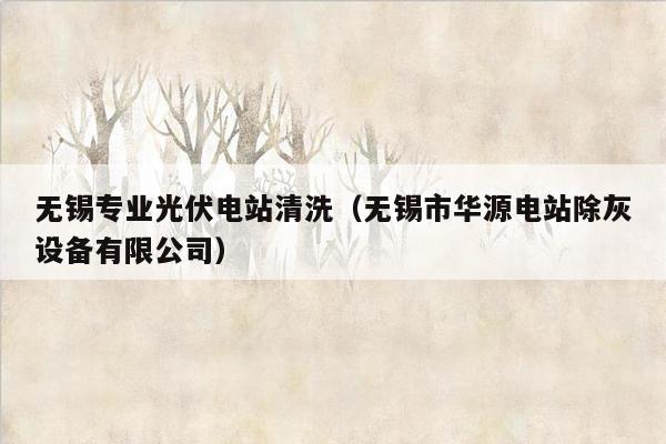 无锡专业光伏电站清洗（无锡市华源电站除灰设备有限公司）