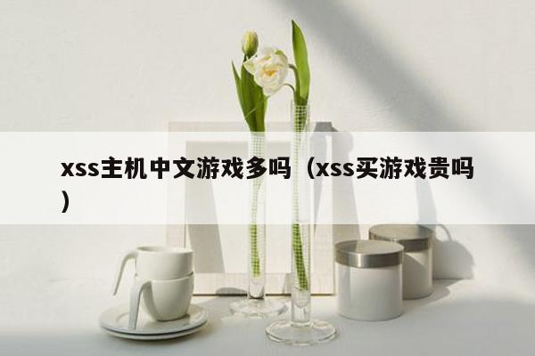 xss主机中文游戏多吗（xss买游戏贵吗）