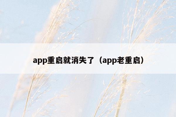 app重启就消失了（app老重启）