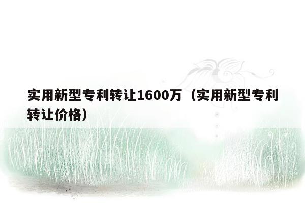 实用新型专利转让1600万（实用新型专利转让价格）