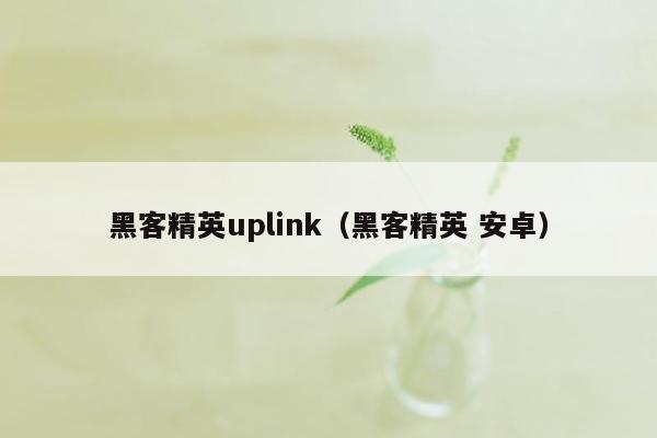 黑客精英uplink（黑客精英 安卓）