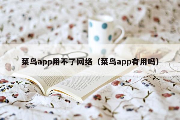 菜鸟app用不了网络（菜鸟app有用吗）