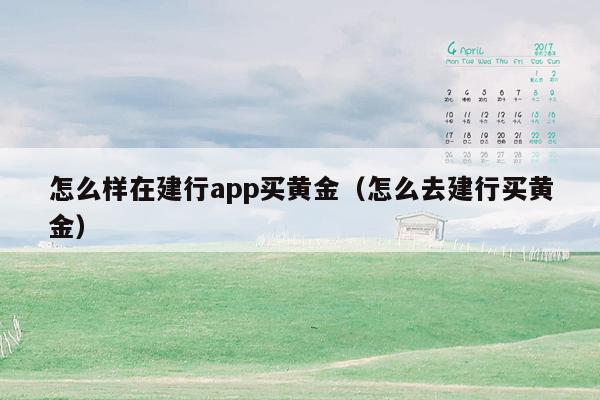 怎么样在建行app买黄金（怎么去建行买黄金）