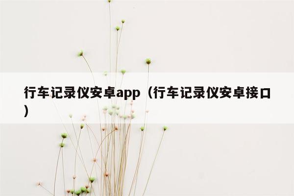 行车记录仪安卓app（行车记录仪安卓接口）