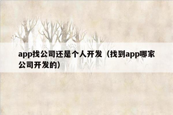 app找公司还是个人开发（找到app哪家公司开发的）