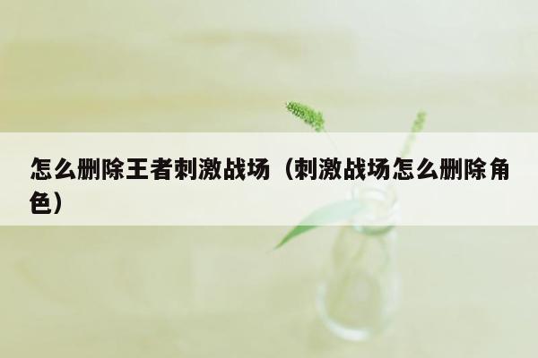 怎么删除王者刺激战场（刺激战场怎么删除角色）