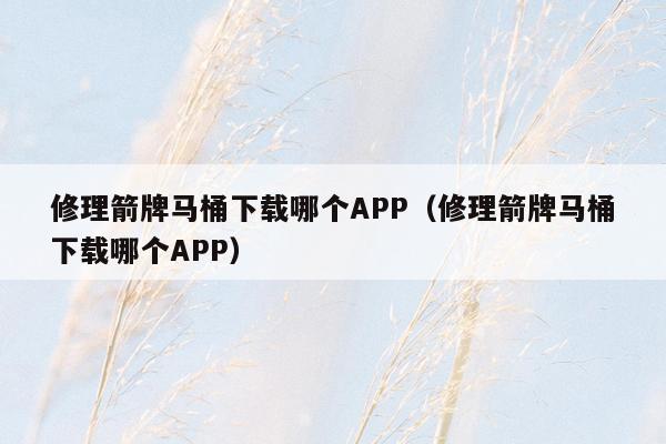 修理箭牌马桶下载哪个APP（修理箭牌马桶下载哪个APP）