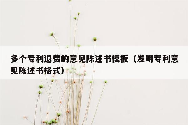 多个专利退费的意见陈述书模板（发明专利意见陈述书格式）