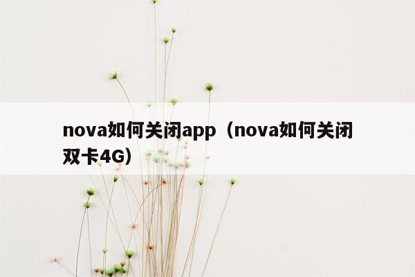 nova如何关闭app（nova如何关闭双卡4G）