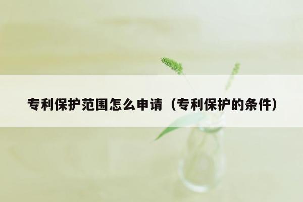 专利保护范围怎么申请（专利保护的条件）