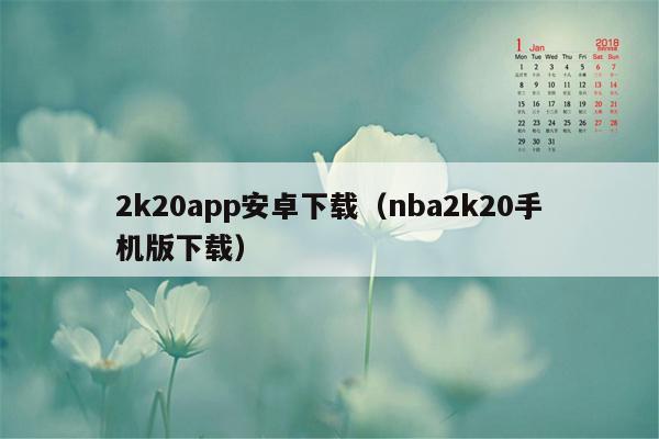 2k20app安卓下载（nba2k20手机版下载）