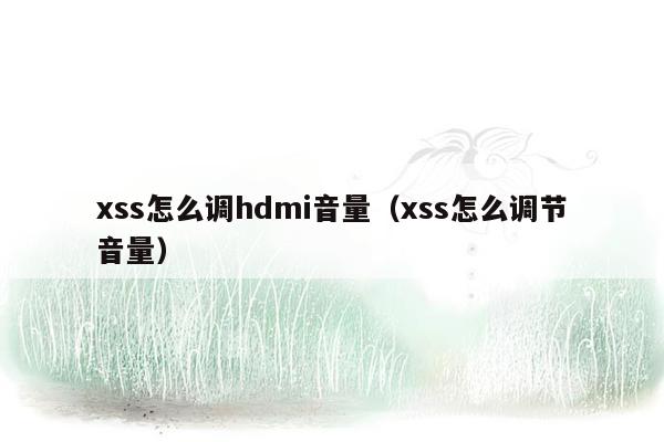 xss怎么调hdmi音量（xss怎么调节音量）