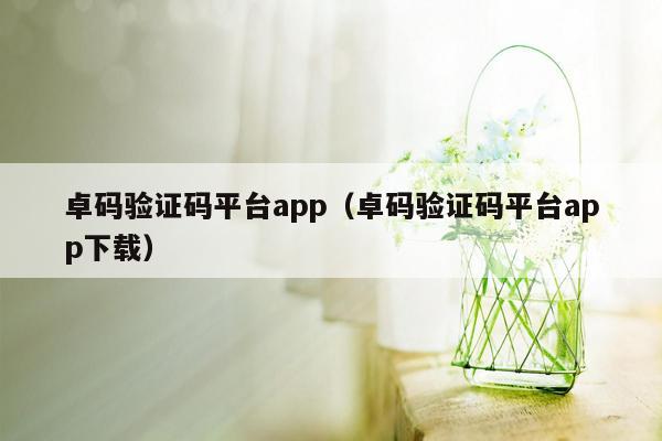 卓码验证码平台app（卓码验证码平台app下载）