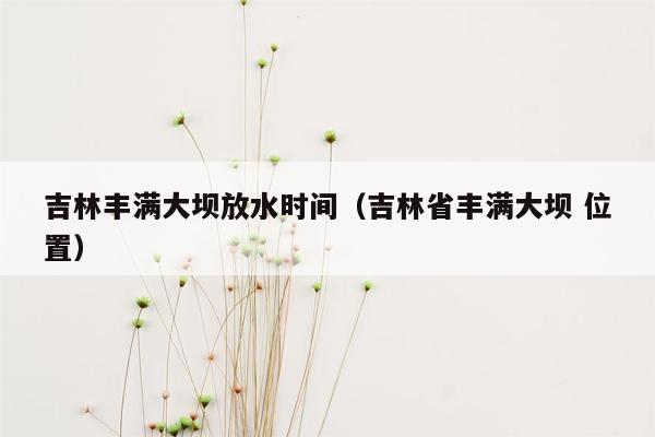 吉林丰满大坝放水时间（吉林省丰满大坝 位置）