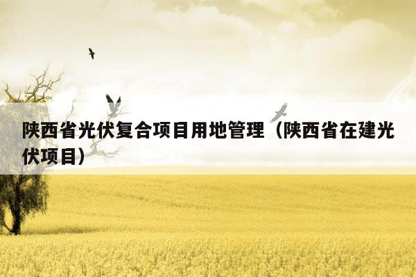 陕西省光伏复合项目用地管理（陕西省在建光伏项目）