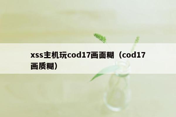 xss主机玩cod17画面糊（cod17画质糊）