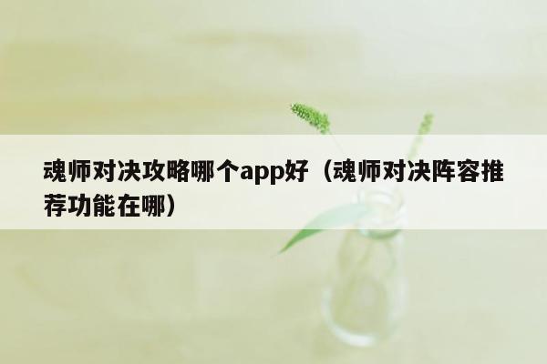 魂师对决攻略哪个app好（魂师对决阵容推荐功能在哪）