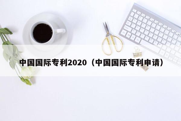 中国国际专利2020（中国国际专利申请）