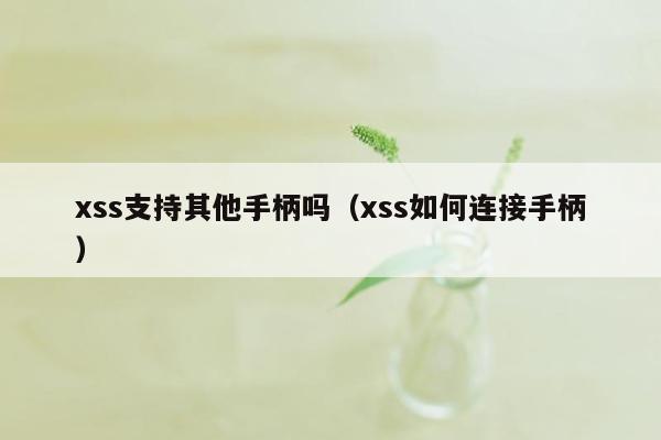 xss支持其他手柄吗（xss如何连接手柄）