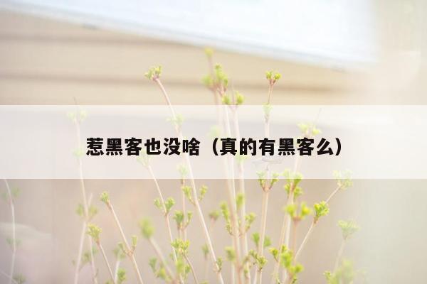 惹黑客也没啥（真的有黑客么）