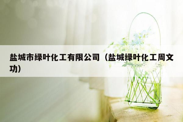 盐城市绿叶化工有限公司（盐城绿叶化工周文功）