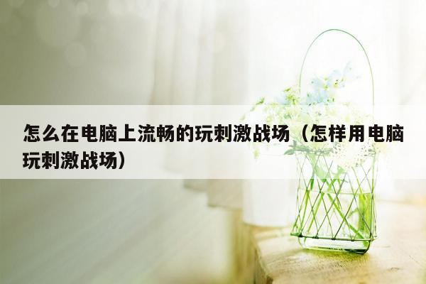 怎么在电脑上流畅的玩刺激战场（怎样用电脑玩刺激战场）