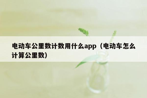 电动车公里数计数用什么app（电动车怎么计算公里数）