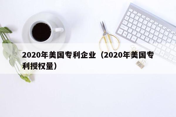 2020年美国专利企业（2020年美国专利授权量）