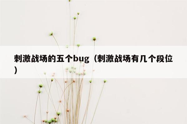 刺激战场的五个bug（刺激战场有几个段位）