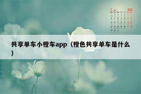 共享单车小橙车app（橙色共享单车是什么）