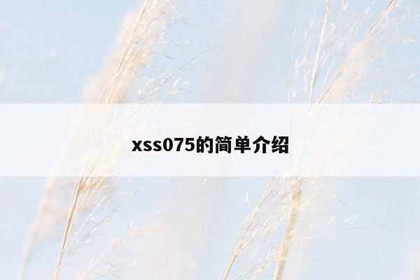 xss075的简单介绍