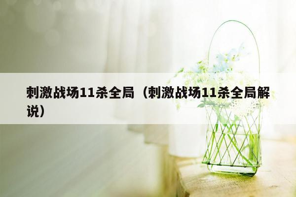 刺激战场11杀全局（刺激战场11杀全局解说）