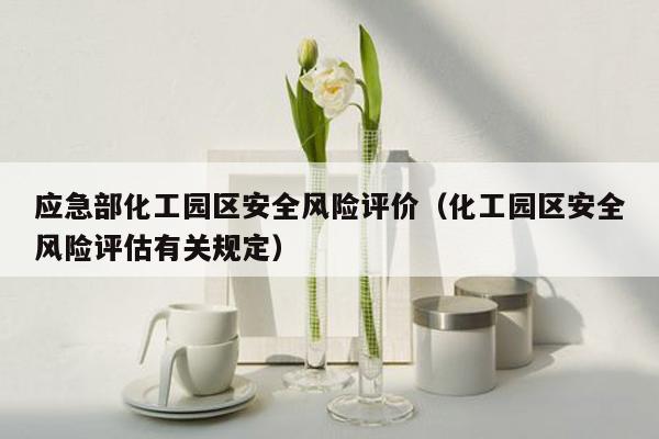 应急部化工园区安全风险评价（化工园区安全风险评估有关规定）