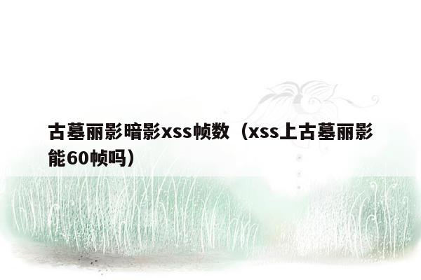 古墓丽影暗影xss帧数（xss上古墓丽影能60帧吗）