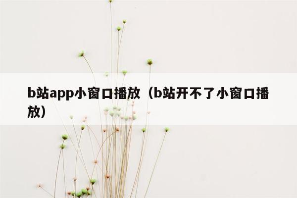 b站app小窗口播放（b站开不了小窗口播放）