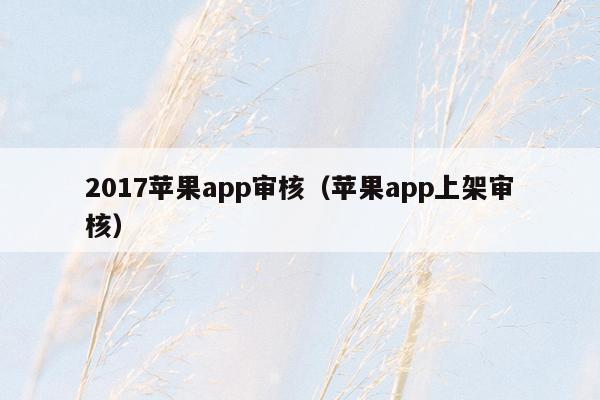 2017苹果app审核（苹果app上架审核）