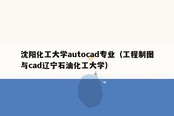 沈阳化工大学autocad专业（工程制图与cad辽宁石油化工大学）