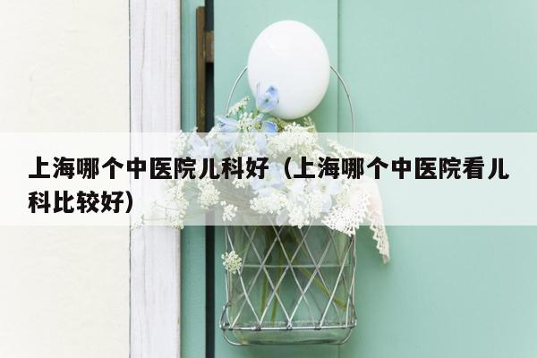 上海哪个中医院儿科好（上海哪个中医院看儿科比较好）