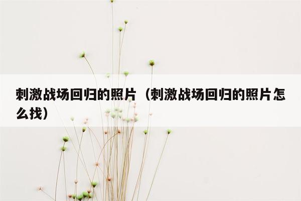 刺激战场回归的照片（刺激战场回归的照片怎么找）