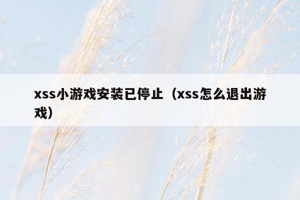 xss小游戏安装已停止（xss怎么退出游戏）