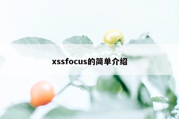 xssfocus的简单介绍