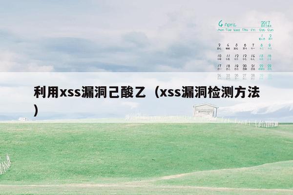 利用xss漏洞己酸乙（xss漏洞检测方法）