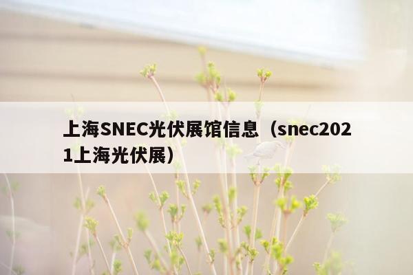 上海SNEC光伏展馆信息（snec2021上海光伏展）