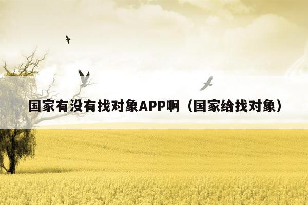 国家有没有找对象APP啊（国家给找对象）