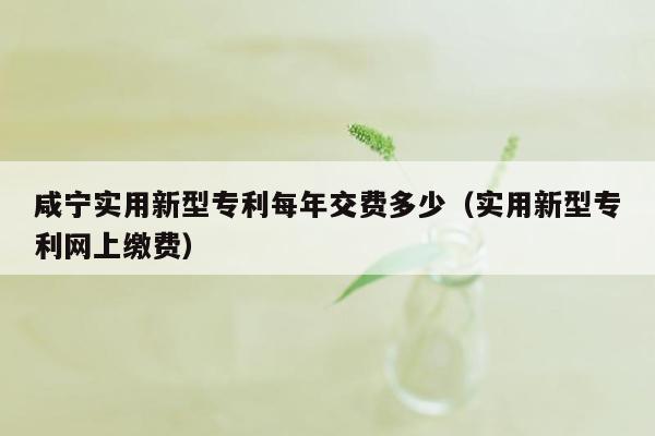 咸宁实用新型专利每年交费多少（实用新型专利网上缴费）