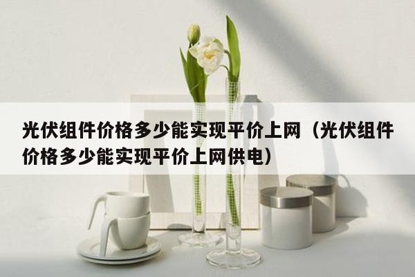 光伏组件价格多少能实现平价上网（光伏组件价格多少能实现平价上网供电）