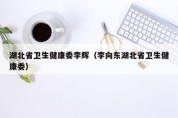 湖北省卫生健康委李辉（李向东湖北省卫生健康委）