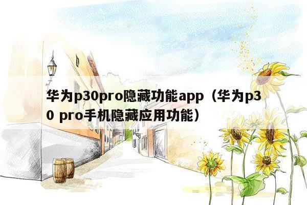 华为p30pro隐藏功能app（华为p30 pro手机隐藏应用功能）