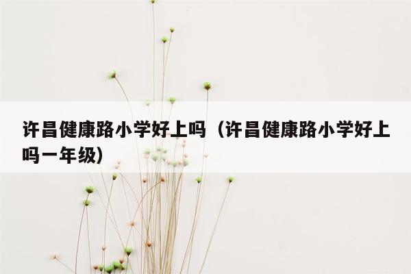 许昌健康路小学好上吗（许昌健康路小学好上吗一年级）