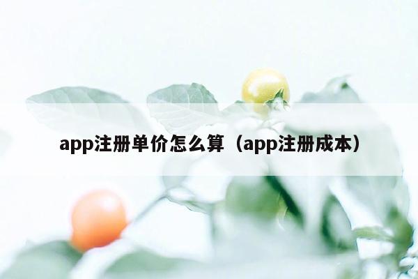 app注册单价怎么算（app注册成本）